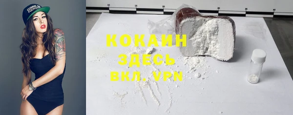 ешки Арсеньев