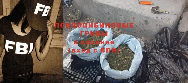 ешки Арсеньев
